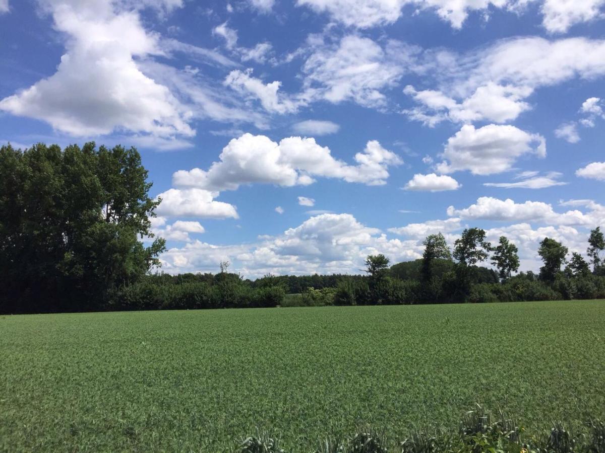 Hoeve Delshorst Heibloem Esterno foto