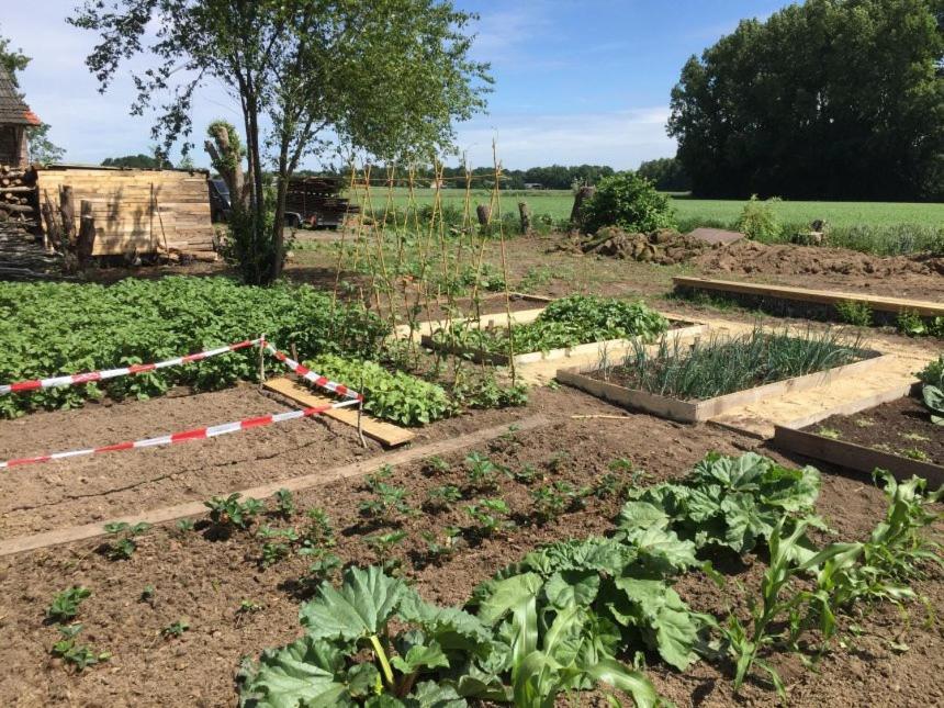 Hoeve Delshorst Heibloem Esterno foto