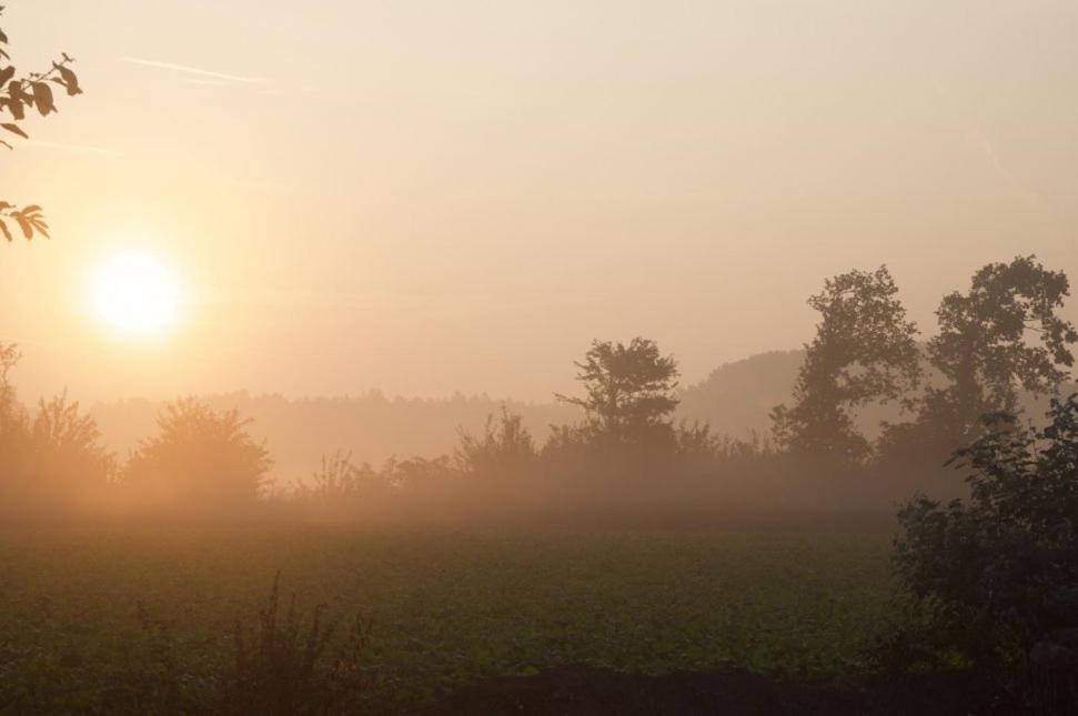Hoeve Delshorst Heibloem Esterno foto